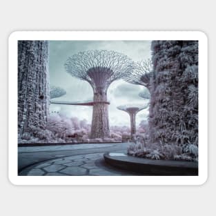 Super Tree Grove (infra-red) Sticker